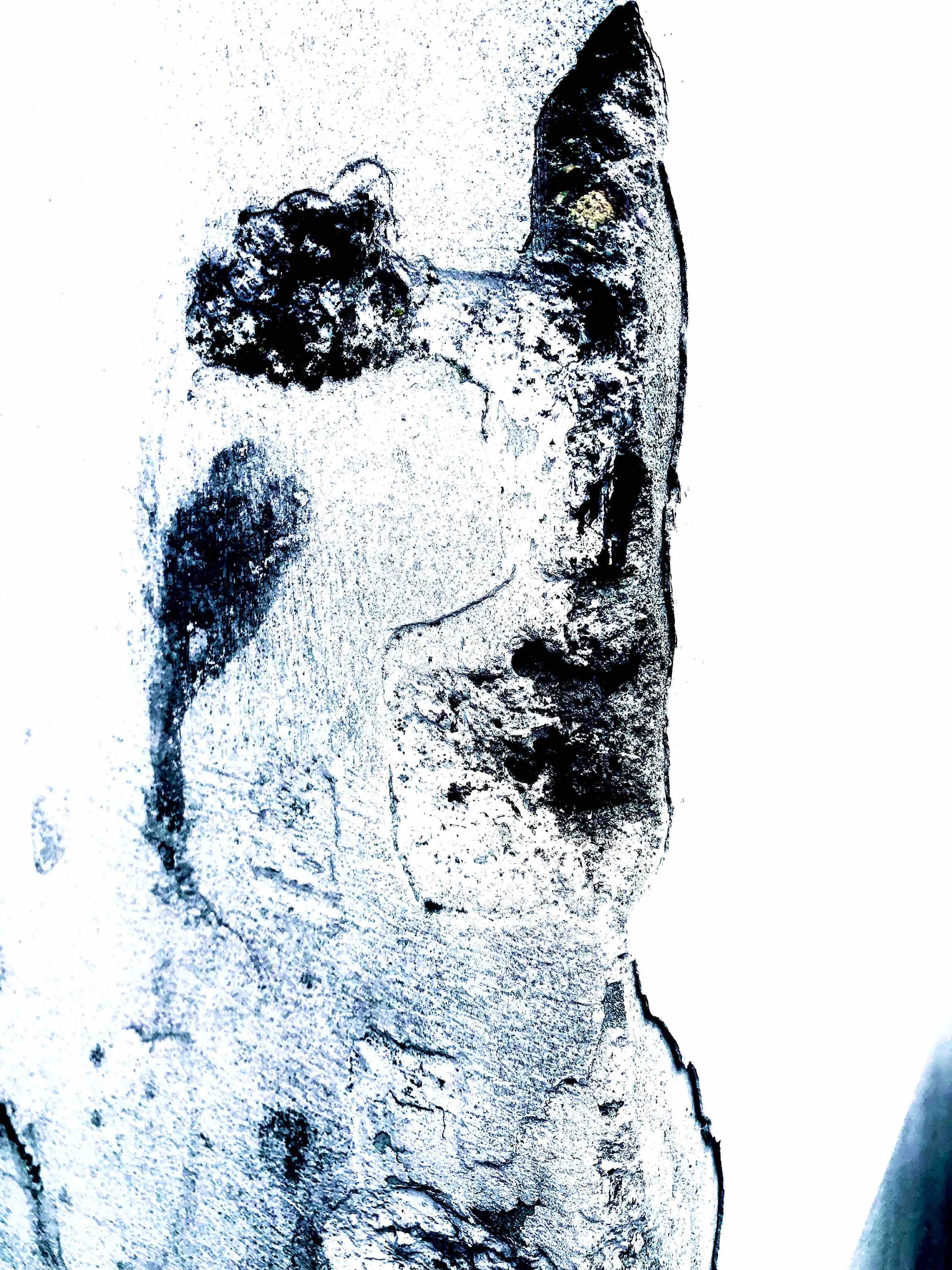 Ce visage me dit quelque chose