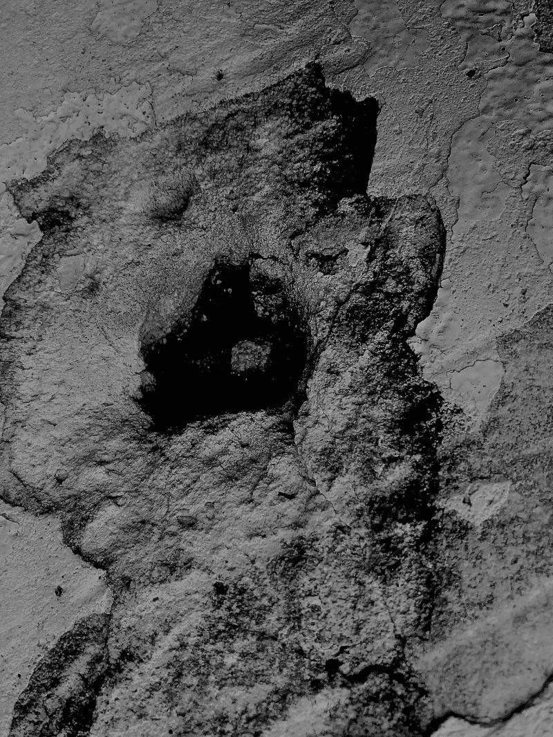 Dans l'ombre d'elephant man