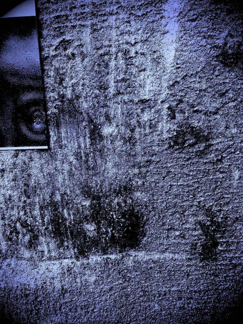 Big brother is watching you