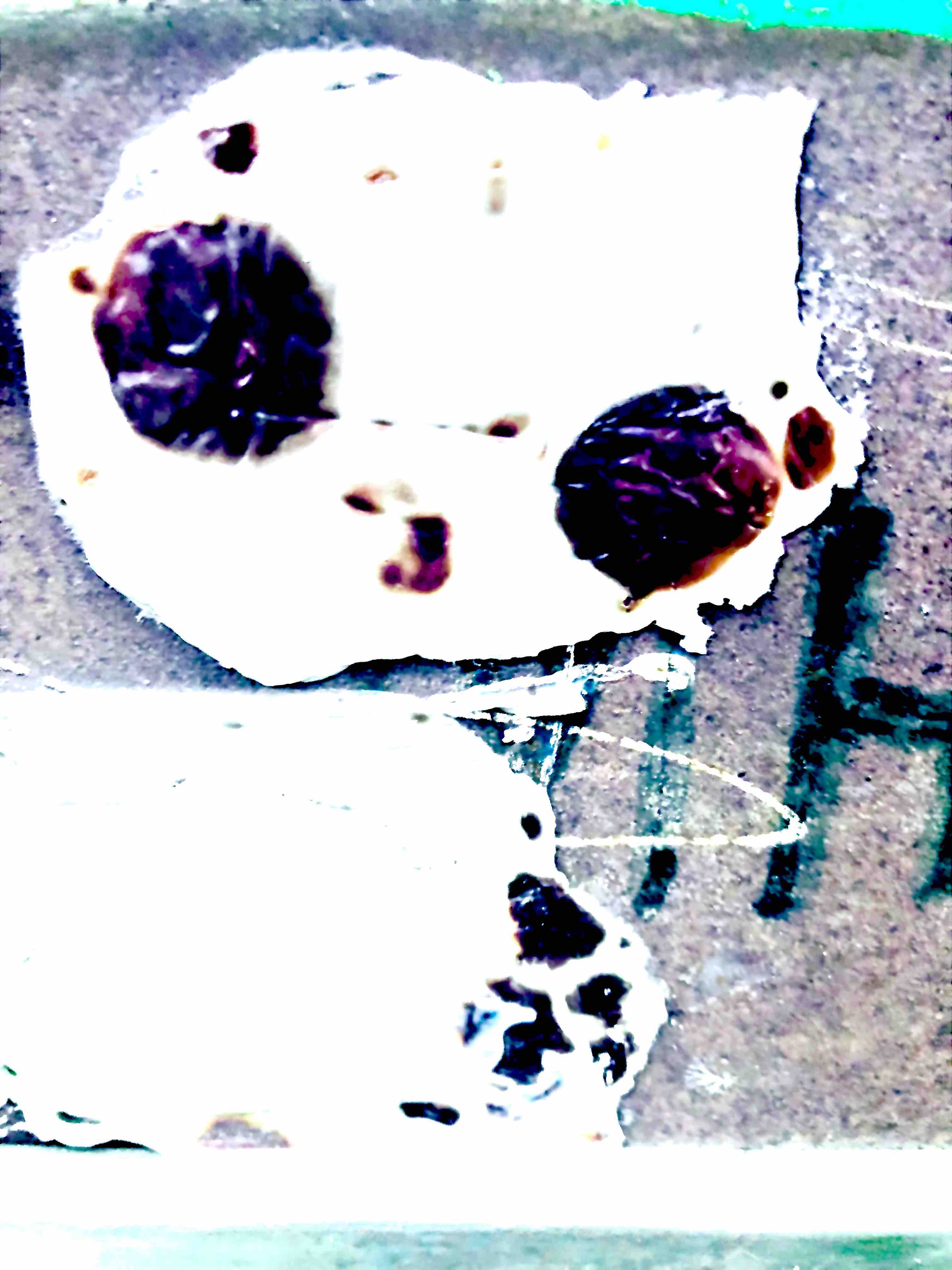 Et puis l'on vit apparaître de drôles de créatures