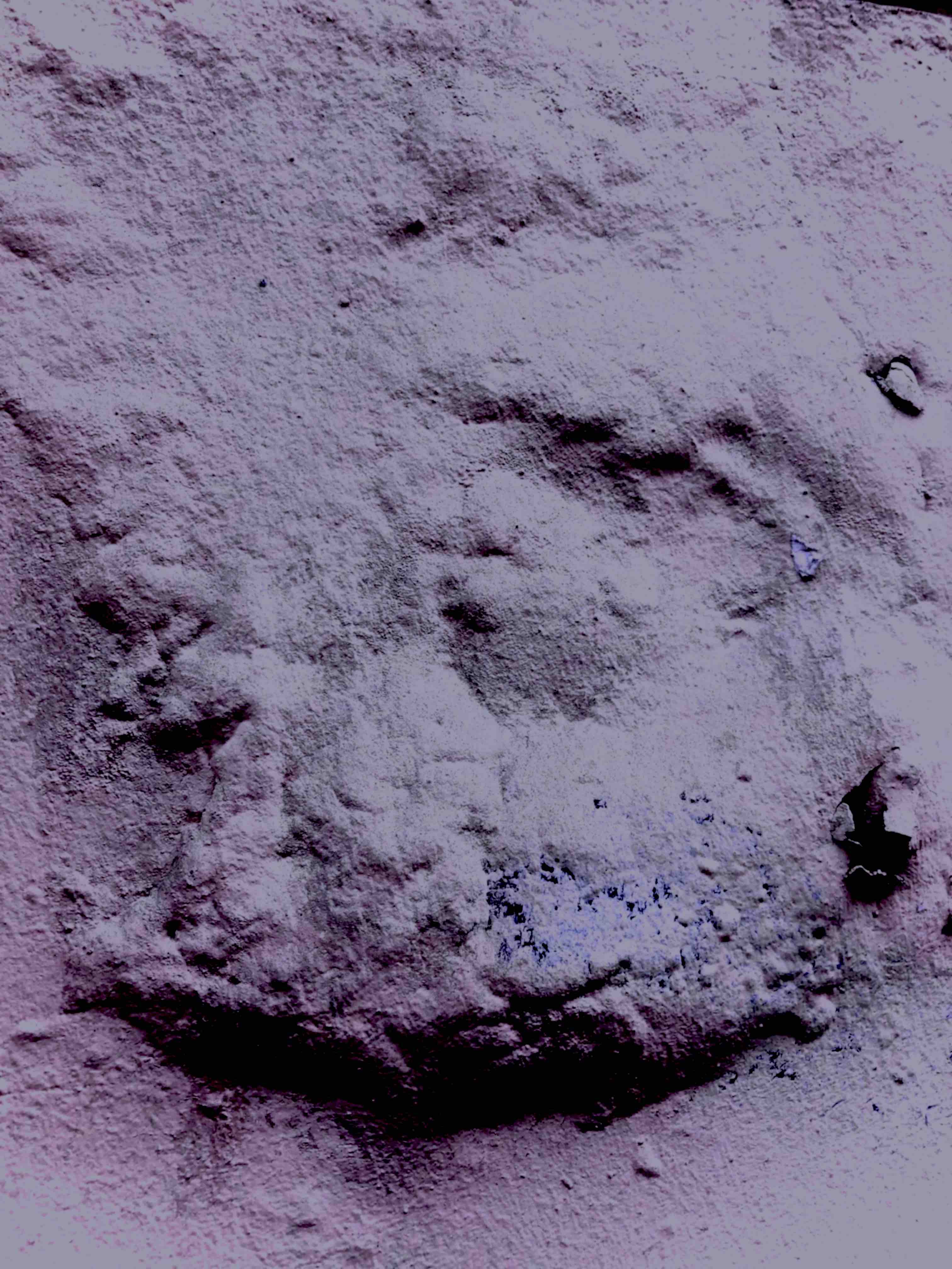 Un ange passe / Carol Bücher